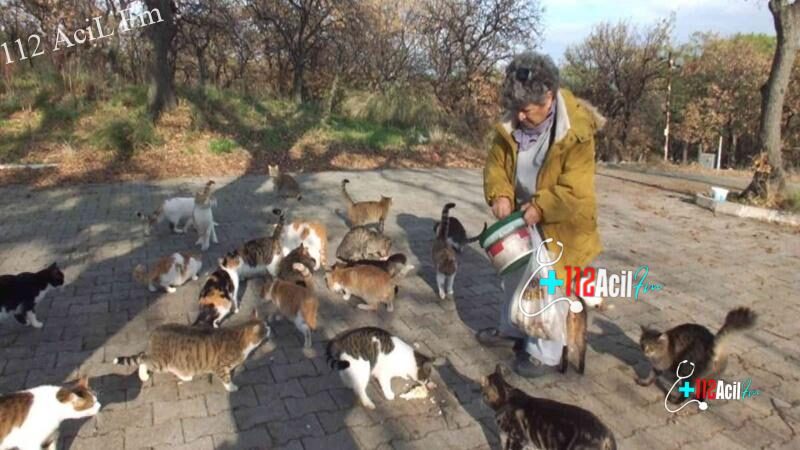 Balıkesir’de emekli hemşire 18 yıldır sokak kedilerini besliyor Kaynak: Balıkesir’de emekli hemşire 18 yıldır sokak kedilerini besliyor